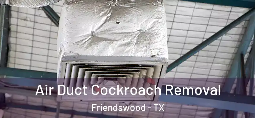 Air Duct Cockroach Removal Friendswood - TX