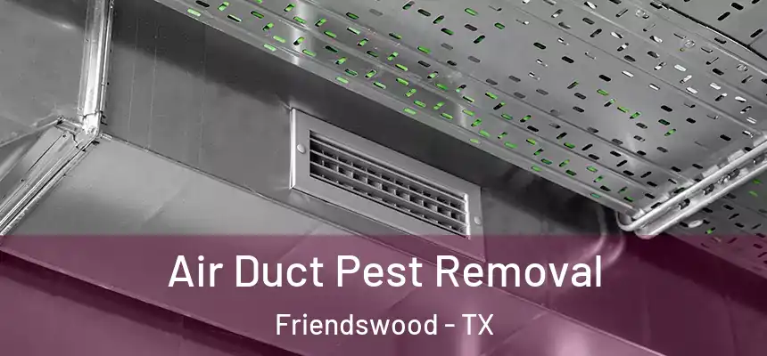 Air Duct Pest Removal Friendswood - TX