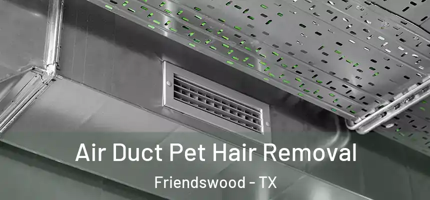 Air Duct Pet Hair Removal Friendswood - TX