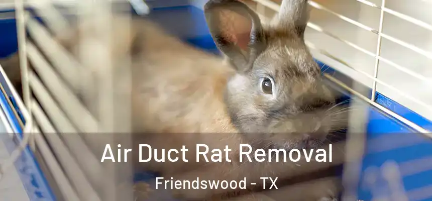  Air Duct Rat Removal Friendswood - TX
