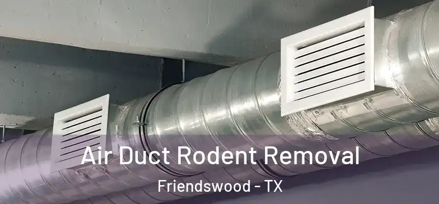 Air Duct Rodent Removal Friendswood - TX