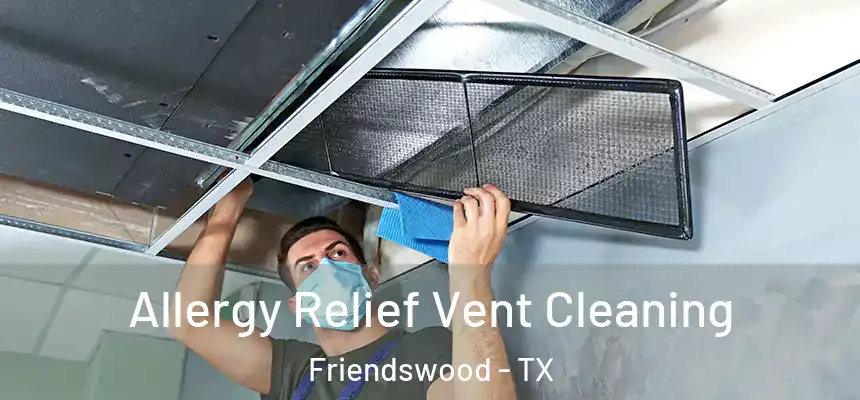  Allergy Relief Vent Cleaning Friendswood - TX