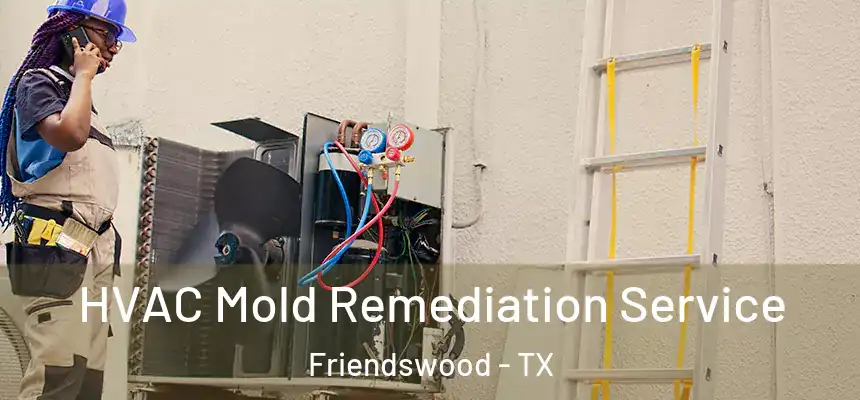 HVAC Mold Remediation Service Friendswood - TX