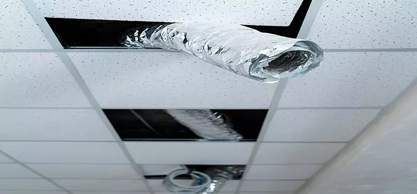 Affordable HVAC Sanitizing After Pest Removal in Friendswood