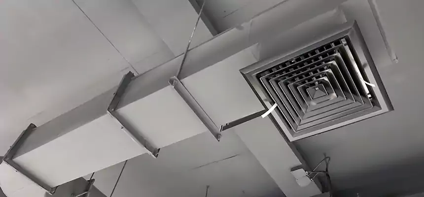 Our Pest Removal From Ducts Services in Friendswood, TX