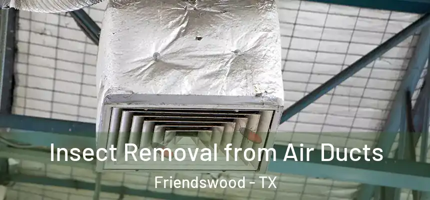 Insect Removal from Air Ducts Friendswood - TX