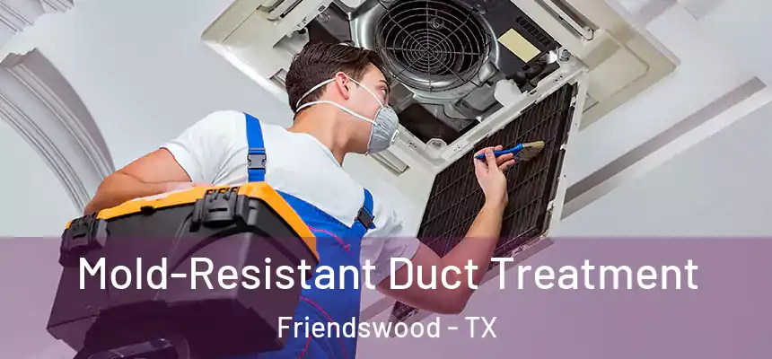  Mold-Resistant Duct Treatment Friendswood - TX