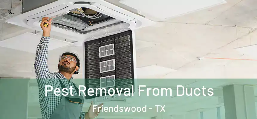 Pest Removal From Ducts Friendswood - TX