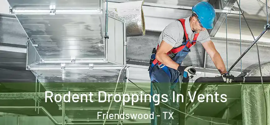 Rodent Droppings In Vents Friendswood - TX