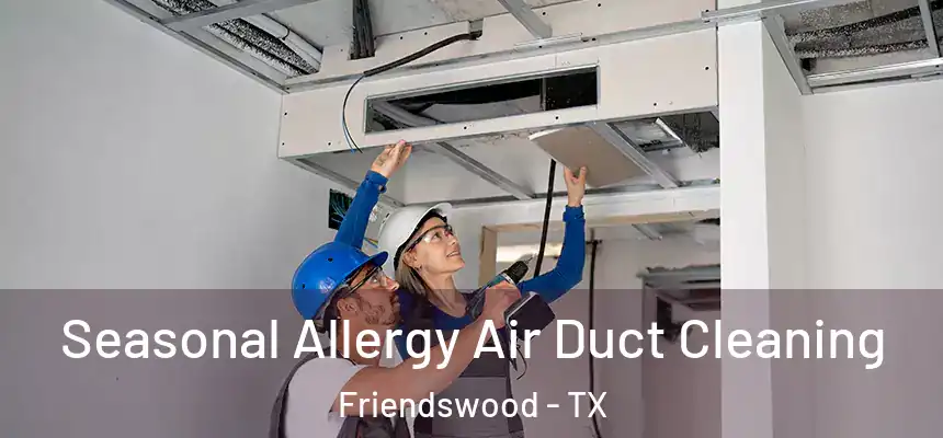  Seasonal Allergy Air Duct Cleaning Friendswood - TX