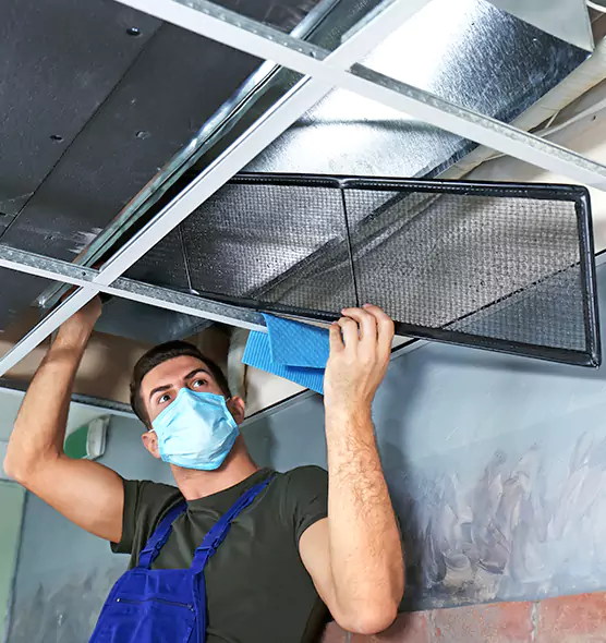 About Air Duct Bacteria Removal in Friendswood