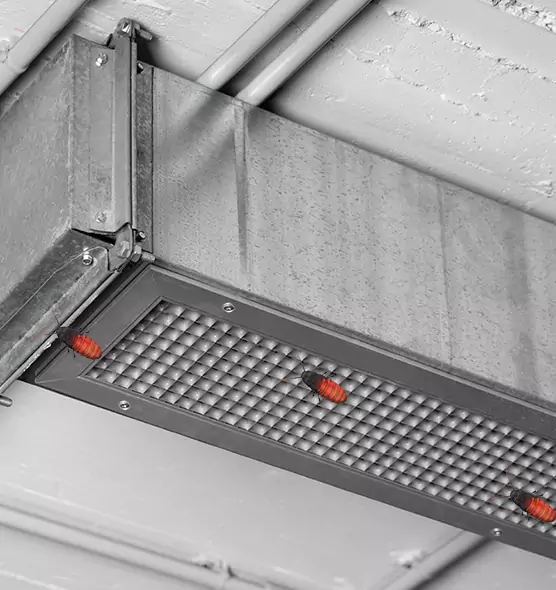 About Air Duct Cockroach Removal in Friendswood, TX