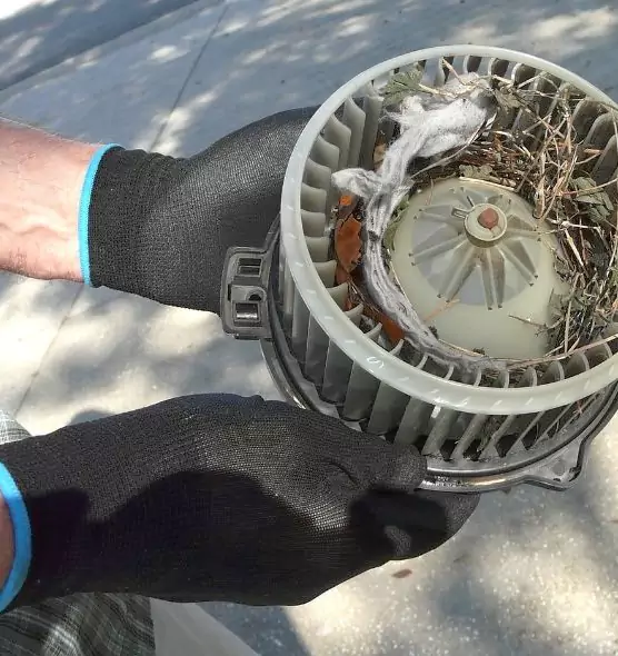 About Air Duct Mice Removal in Friendswood, TX