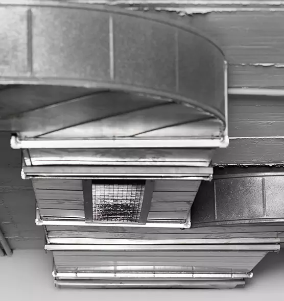 Professional Air Duct Pet Hair Removal in Friendswood, TX