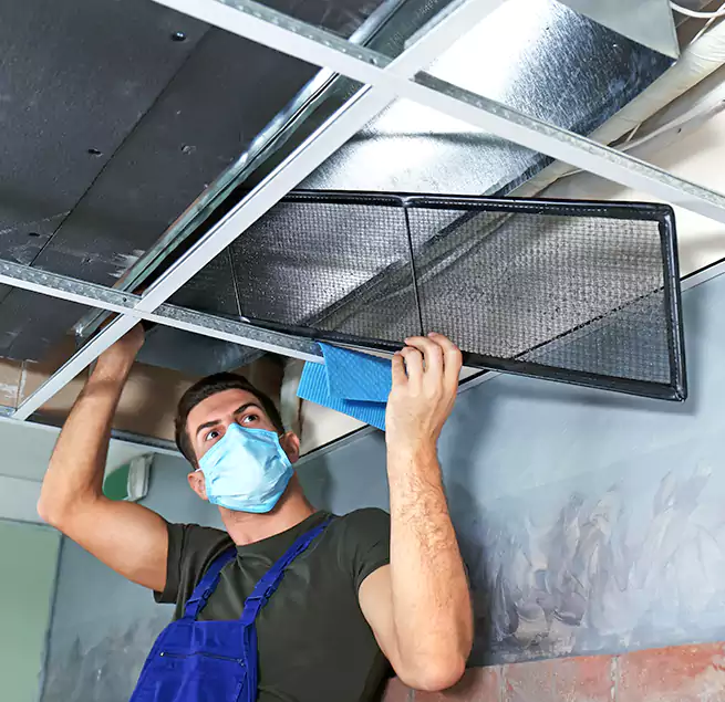 Why Homeowners Businesses Trust Us in Friendswood, TX