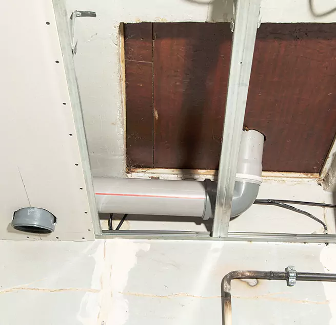 Why Homeowners & Businesses Trust Us in Friendswood, TX?