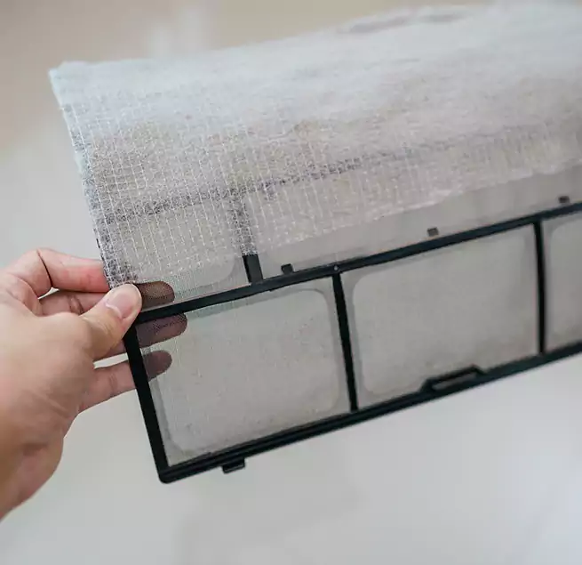 Why Homeowners & Businesses Trust Us in Friendswood, TX?