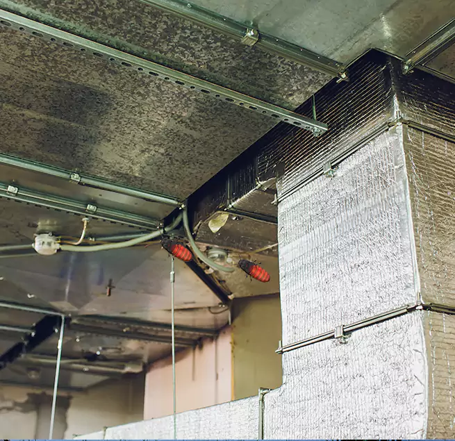 Why Homeowners & Businesses Trust Us Friendswood, TX?