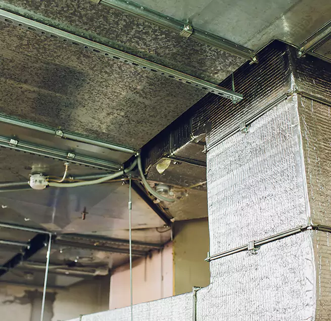 Why Homeowners & Businesses Trust Us in Friendswood, TX?