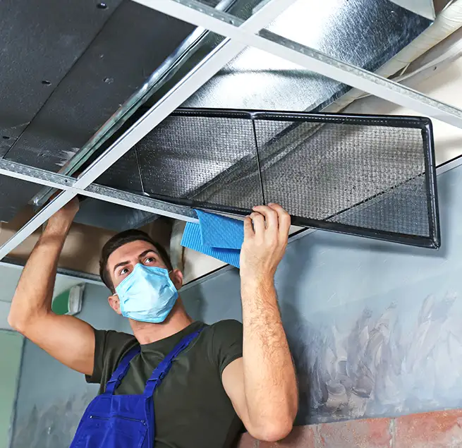 Why Homeowners & Businesses Trust Us in Friendswood, TX?